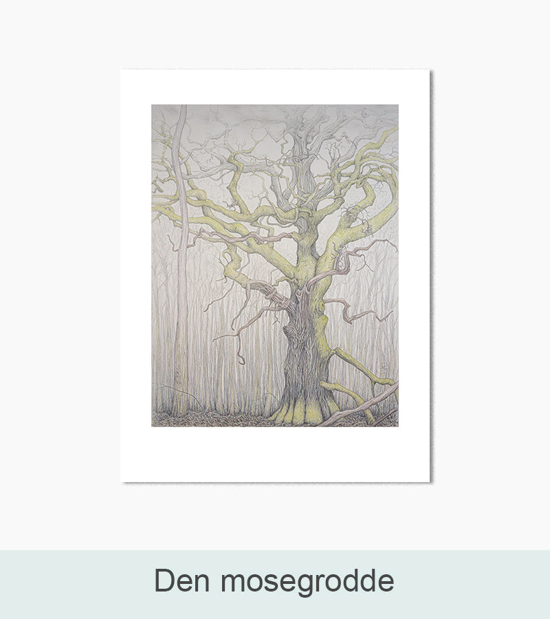Kunsttryk, Nordlys Print: Den mosegrode. Kunstner: Solveig Junko.