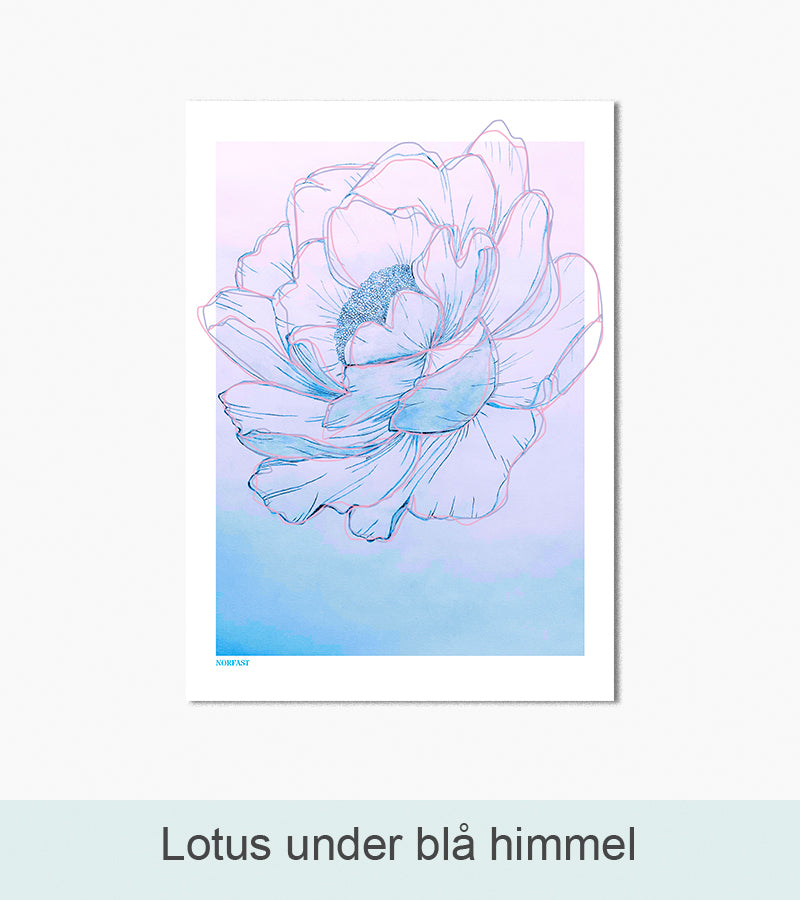 Nordlys Prints galleri: Lotus under blå himmel. Værk af Simone Norfast.