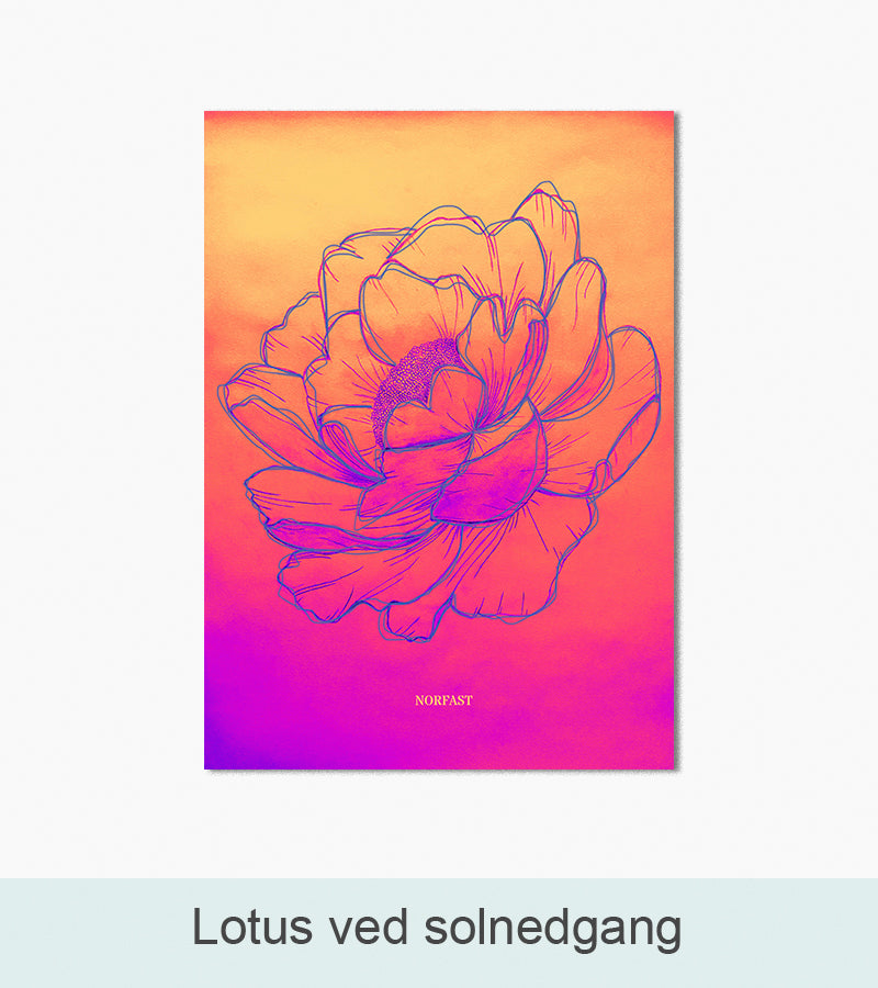 Nordlys Prints galleri: Lotus ved solnedgang. Værk af Simone Norfast.