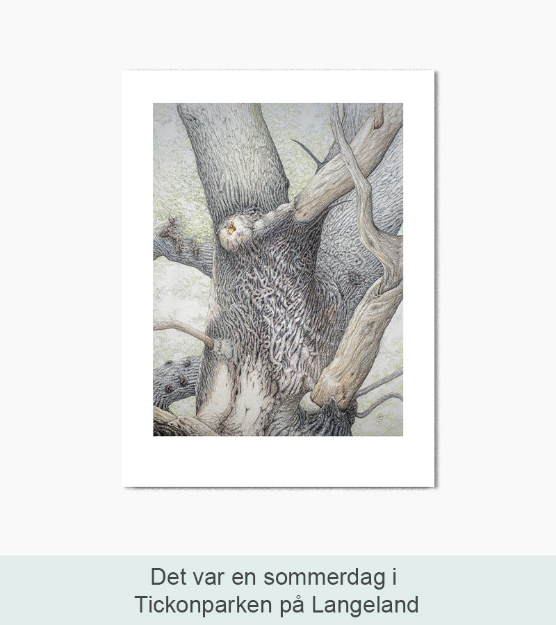 Kunsttryk, Nordlys Print: Det var en sommerdag i Tickonparken på Langeland. Kunstner: Solveig Junko.
