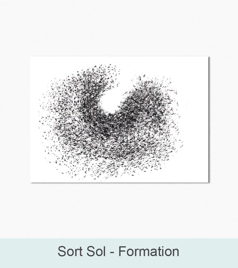 Nordlys Prints galleri: Sort sol - Formation. Værk af Anita Frichot.