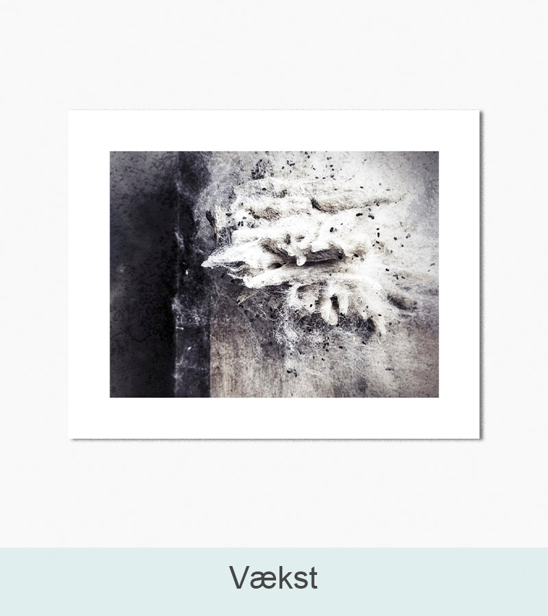 Nordlys Prints galleri: Vækst. Værk af Anita Frichot.