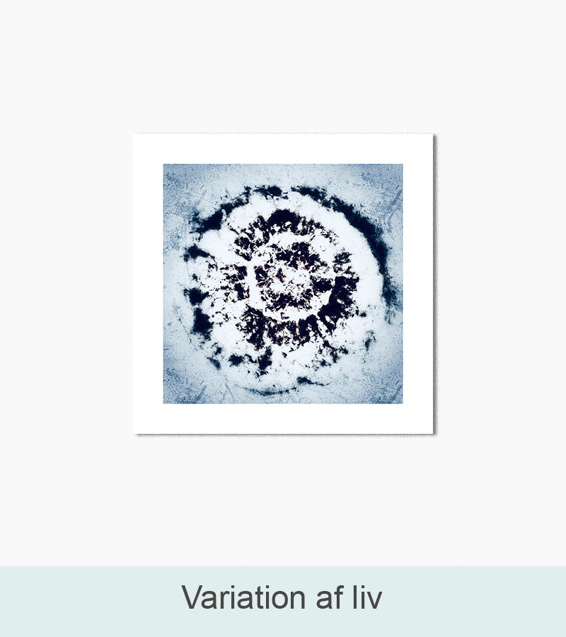 Nordlys Prints galleri: Variation af liv. Værk af Anita Frichot.