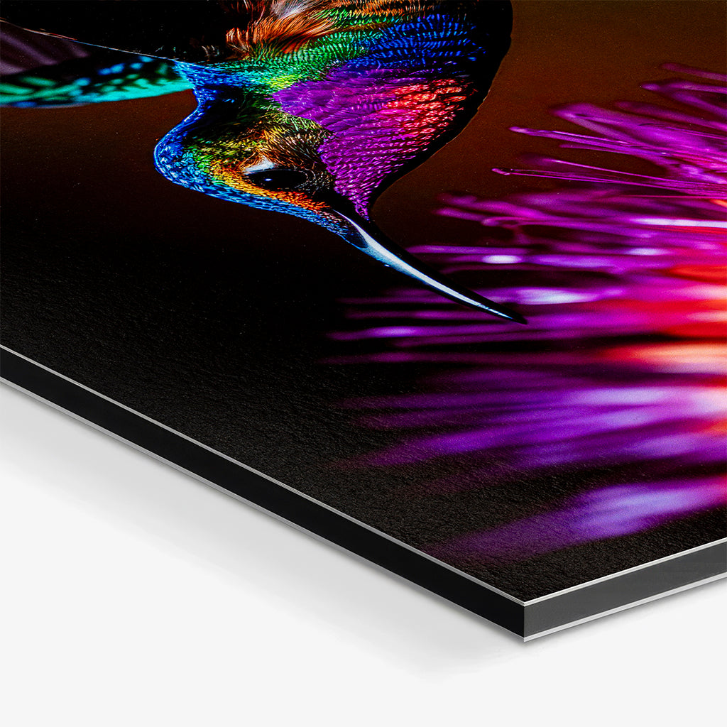 Giclée fototryk. Billedet viser trykket monteret på dibond. Papir: Hahnemühle FineArt Baryta.